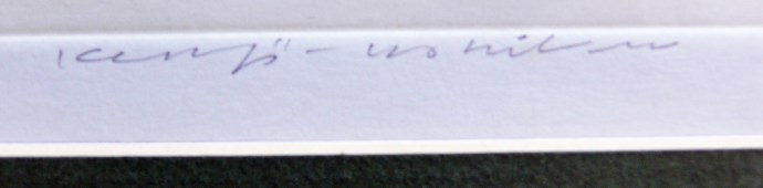 Green fields signature