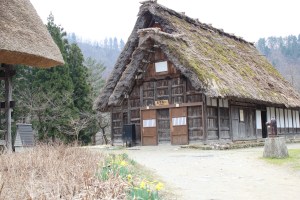 IMG_0503