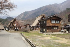 IMG_0530