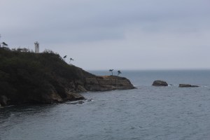 IMG_0677