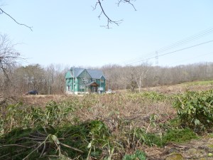 P1010885