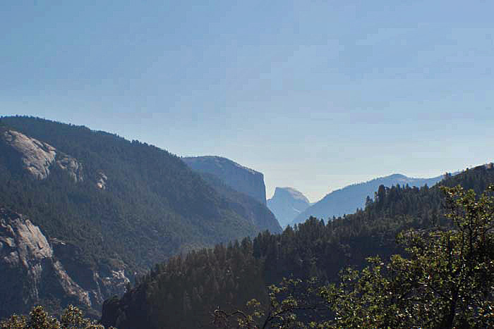 Half dome from Olmsted