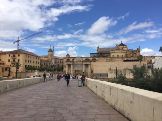 8A15BAFC-0974-464C-AFC8-CCC380842190