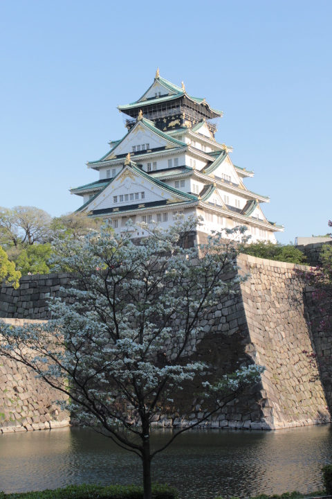 879C1D8D-6A93-4CC3-BF22-EC3AAE6B7184