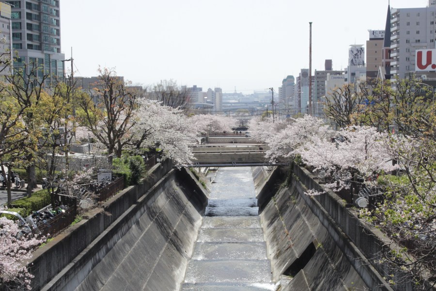 E029D9E0-5015-47B7-BE67-FEF945C6AE58